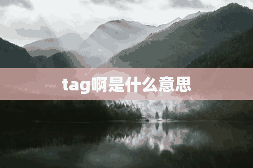 tag啊是什么意思